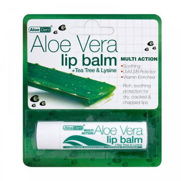 Aloe Dent Aloe Vera Lip Balm - 12 Pack