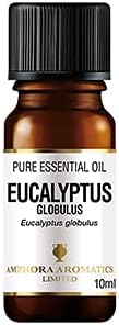 Amphora Aromatics Eucalyptus Organic Essential Oil 10ml