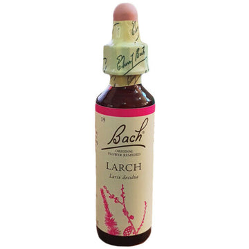 Bach Original Flower Remedies Bach Original Flower Remedies Larch 20ml