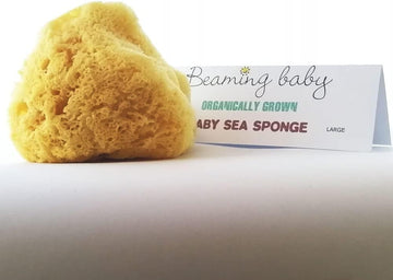 Beaming Baby Organic Baby Sea Sponge Large