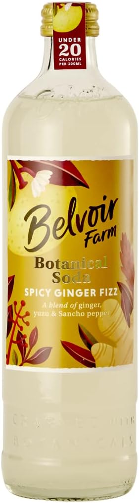 Belvoir Belvoir Farm Spicy Ginger Fizz Botanical Soda - 2 Pack