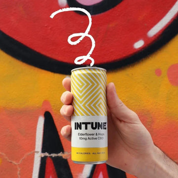 Intune Elderflower & Hops 10mg CBD 250ml - 12 Pack