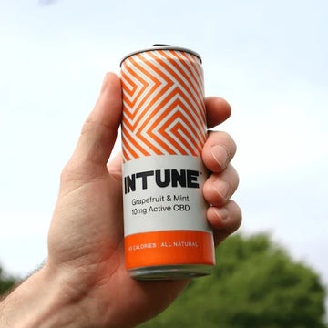 Intune Grapefruit & Mint 10mg CBD 250ml - 12 Pack