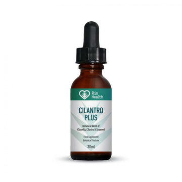 RIO Cilantro Plus