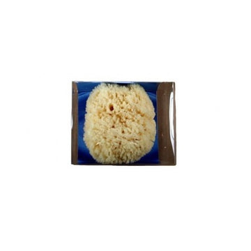 Riffi Premium natural sponge approx 14-15cm in gift box - R3354