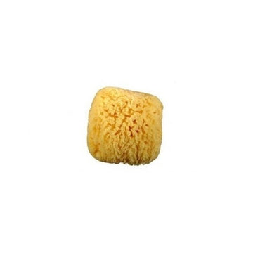 Riffi Caribbean natural sponge approx 12-13cm - R362