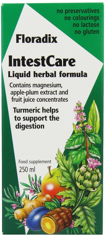 Floradix IntestCare 250ml